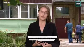 Бастрыкин требует отчет по делу о нападении собак на ребенка