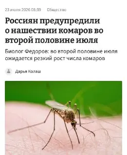 В России ожидается нашествие комаров: что нужно знать