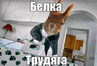 Трудоголизм может сократить жизнь на 25 лет: что нужно знать