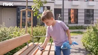 Фитопланктон: ключ к дыханию Земли и защите китов
