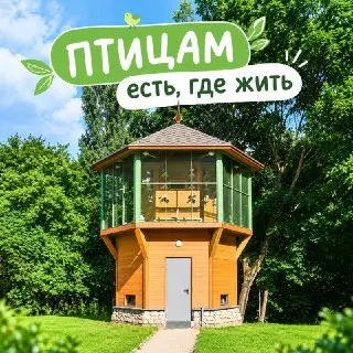 Современные голубятни появились в парке «Крылатские холмы»
