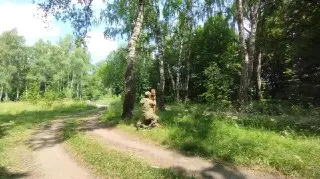 Очистка лесов в Коломне: борьба с сухостоем и валежником