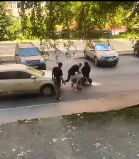Конфликт водителя с женщиной в коляске в Долгопрудном: пострадавший в больнице