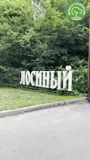Волонтеры провели рейд в парке «Лосиный остров» для защиты природы