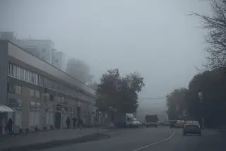 Туман в Подмосковье: видимость 300-800 метров ожидается ночью