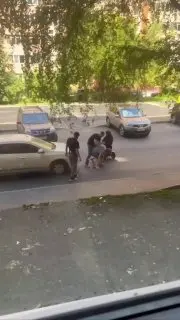 В Долгопрудном избили молодого человека, сопровождавшего девушку на коляске