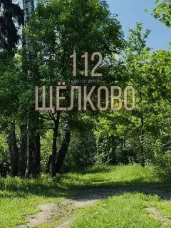 Спасатели нашли пропавшего грибника в лесу под Щёлково