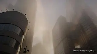 Сильный туман в Подмосковье: желтый уровень опасности объявлен