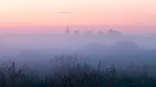 Сильный туман в Подмосковье: МЧС предупреждает об опасности