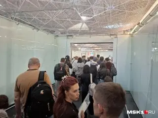 Массовые задержки рейсов в московских аэропортах: причины и последствия