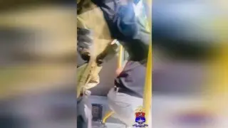Юный диверсант арестован за поджог релейных шкафов в округе