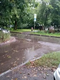 Опасный пешеходный переход на Шоссе Энтузиастов требует внимания