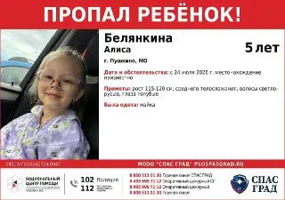 Пропажа 5-летней девочки в Пушкино: начаты поиски