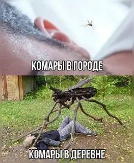 Комары атакуют: ожидается нашествие насекомых в России