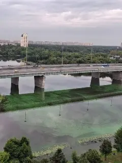 Левобережный пляж: Вода стала мутной и зеленоватой из-за водорослей
