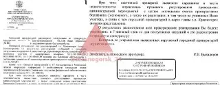 Прокуратура проверяет жалобы на борщевик в Красногорске