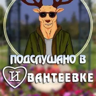 Лесные тропы станут лучше: Госдума одобрила новый закон