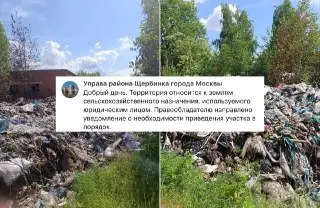 Управа разъяснила ситуацию со свалкой у усадьбы Остафьево