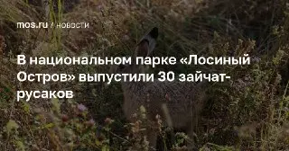 30 Зайцев-Русаков Выпустили в Природу Национального Парка
