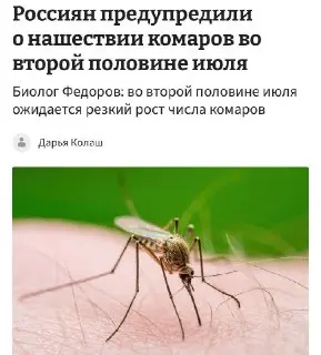 Комары атакуют: как избежать укусов в ближайшие две недели