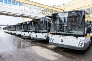Подмосковье обновляет автобусный парк: новые автобусы на маршрутах