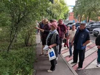 Дополнительная обрезка деревьев на Профсоюзной: что ожидает жильцов?