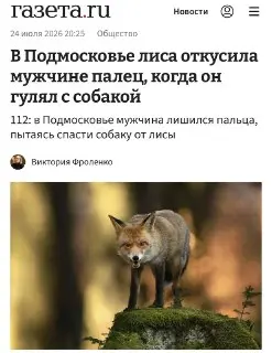 Лиса откусила палец мужчине во время защиты собаки