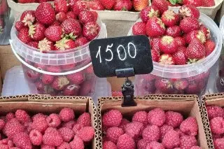 Цены на малину в столице достигли рекорда — 3000 рублей за кг