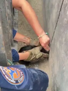 Котёнок спасён на Нагатинском метромосту после застревания