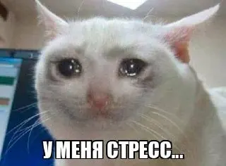 Стресс и Психические Расстройства: Влияние на Экзему