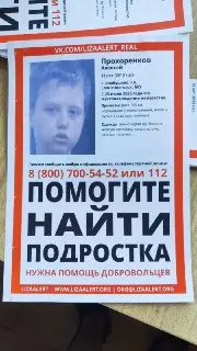 В Алабушево пропал 12-летний мальчик: помощь в поисках