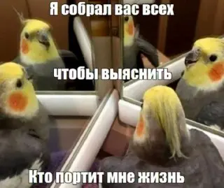 Как стресс вызывает экзему: влияние психики на здоровье кожи