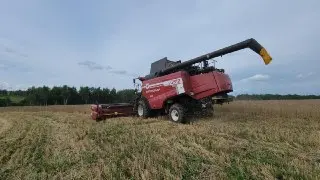 Фермеры Каширы активно убирают ранние зерновые культуры