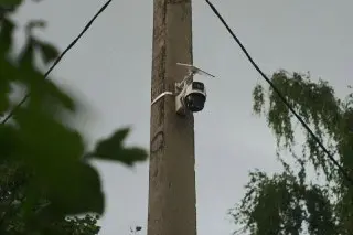 Умные камеры помогут бороться с мусором в Домодедово