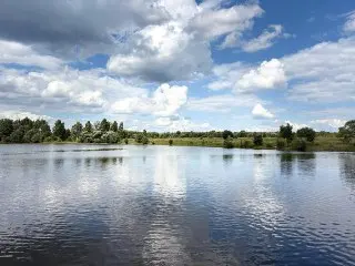 В Подмосковье очищено 11 прудов и озер в рамках программы