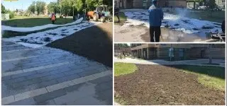 Озеленение в Кузьминках: Жители добились улучшения двора
