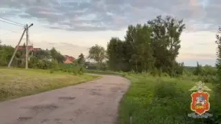 В Чехове задержан мужчина за незаконное выращивание конопли