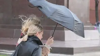 Грозовые ливни и сильный ветер ожидаются в Подмосковье