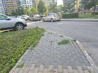 Разрушение плитки на пешеходной дорожке: жители требуют ремонта