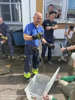 Необычная находка: змея в детском саду удивила всех