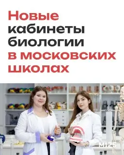 Новые кабинеты биологии в московских школах: что ожидает учеников?