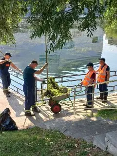 Очистка Амбулаторного пруда от водорослей: летняя акция коммунальщиков