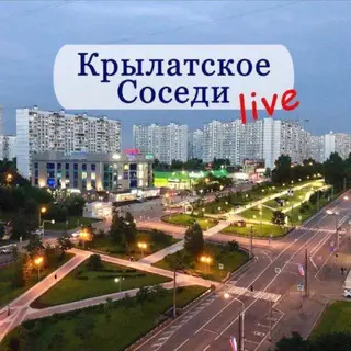 Тело Пропавшей Женщины Найдено в Ромашково: Уголовное Дело