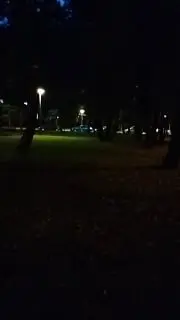 На бульваре Карбышева укладывают второй слой асфальта