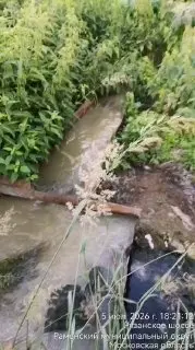 Состояние очистных сооружений в Софьино: видео и бездействие властей