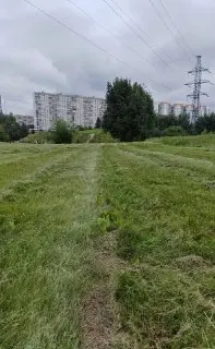 Ландшафтный парк: жители обеспокоены скашиванием цветущего луга