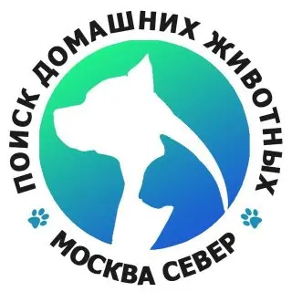 Найдена испуганная собака в районе Бескудниково: помощь нужна