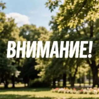 Изменения в расписании мероприятий Свердловского парка из-за непогоды
