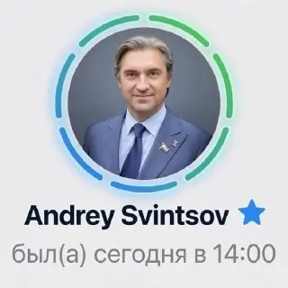 Депутат Свинцов пользуется Telegram Premium вопреки призывам