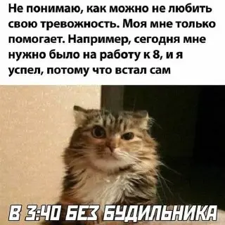 Миллениалы в России: Показатель тревожности достиг рекорда